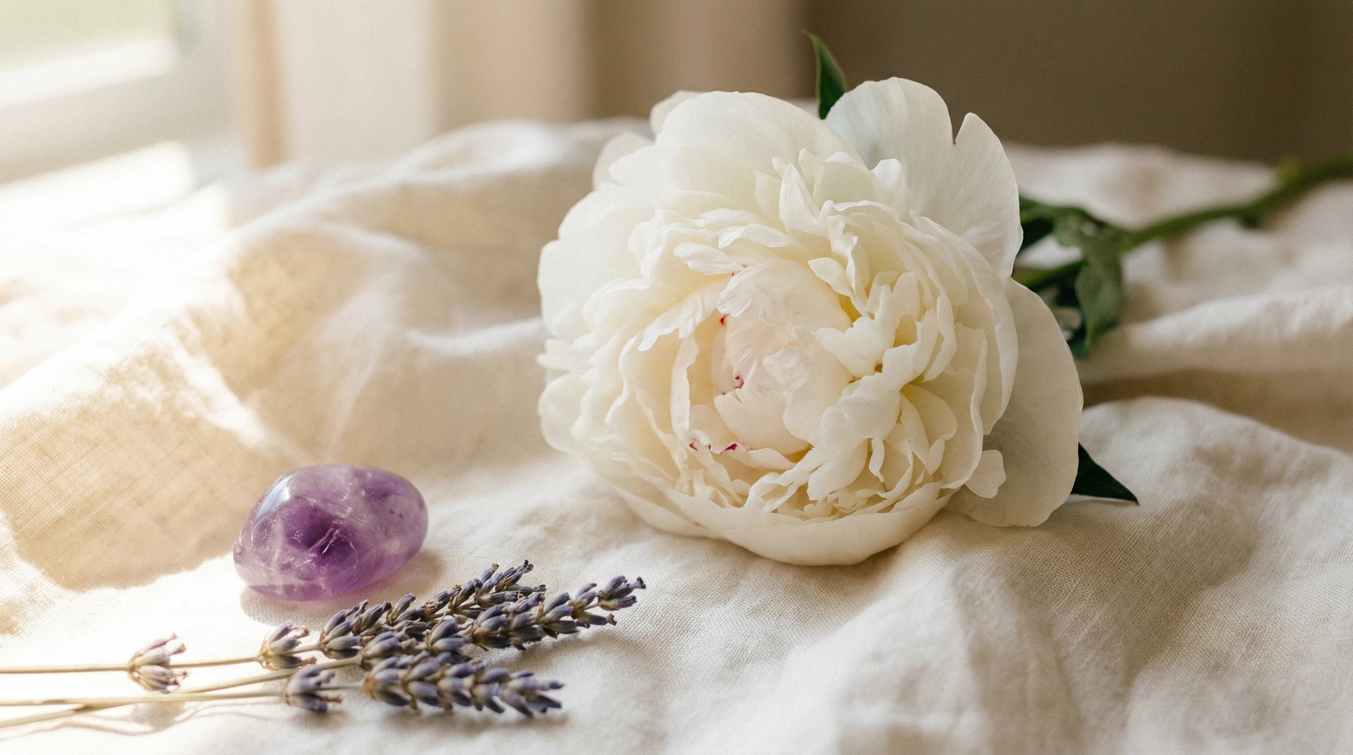 Open white peony with amethyst and lavender — feminine body awareness and self-discovery